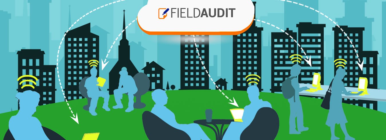 Field-Audit