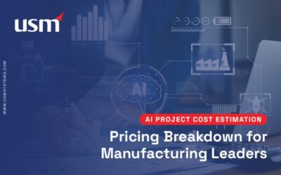 AI project cost