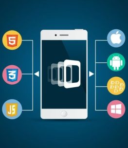 PhoneGap App Development USA