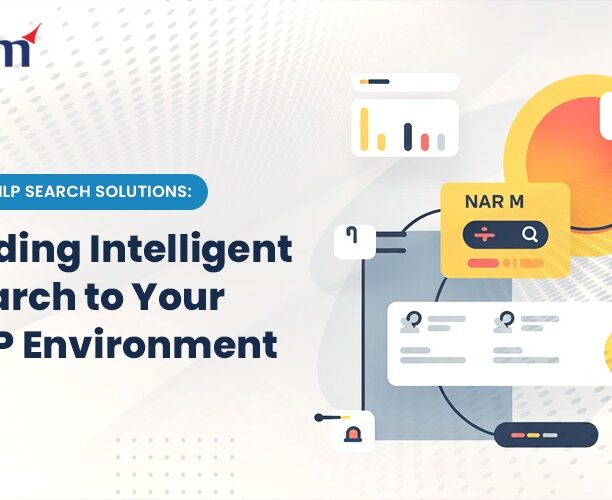 SAP NLP Search Solutions