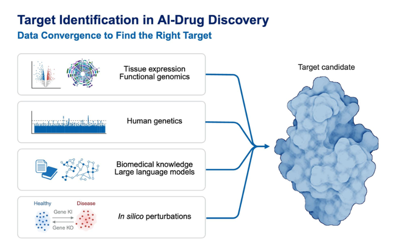 Strengthening Target Identification
